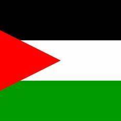 Fundraising Page: Help Palestine